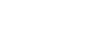 1st Light Technologies